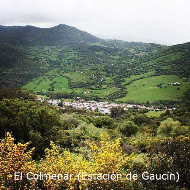 Eco Moyano Posada Gaucín Exterior foto