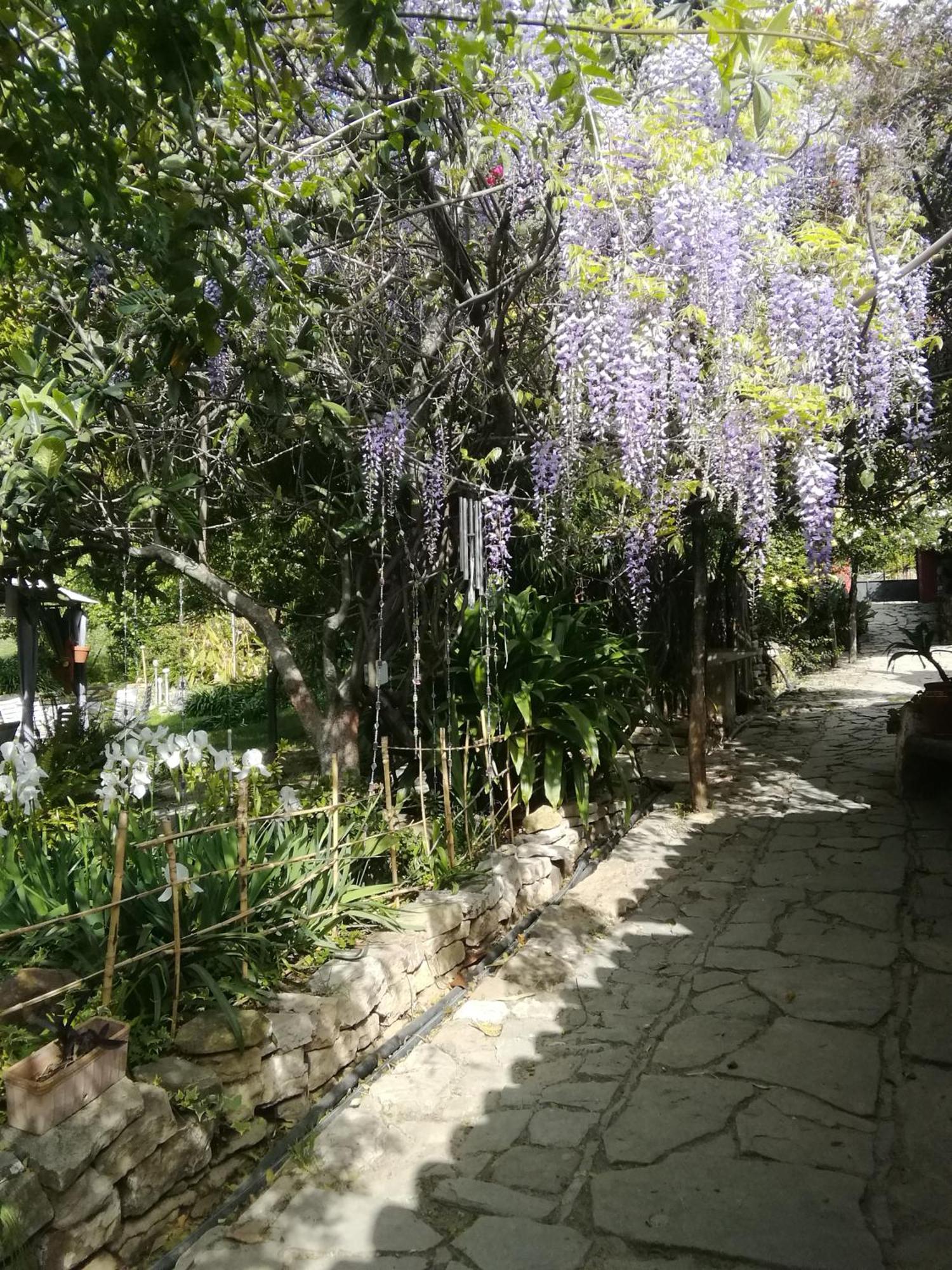 Eco Moyano Posada Gaucín Exterior foto